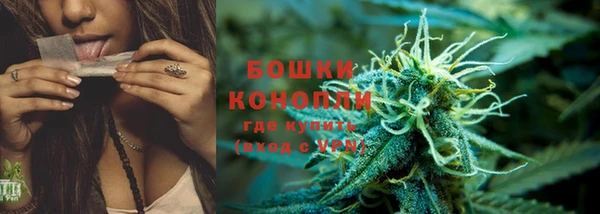 ECSTASY Пересвет