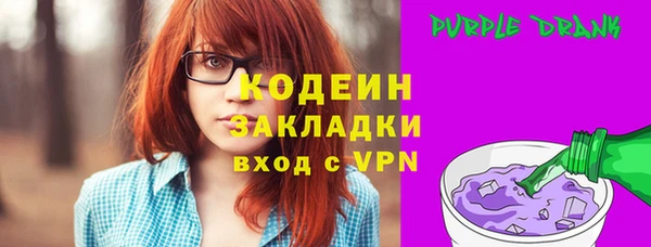 индика Елабуга