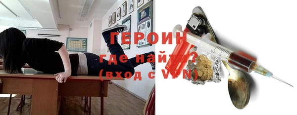 индика Елабуга