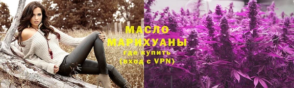 индика Елабуга