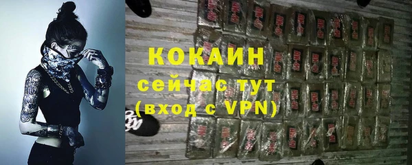 ECSTASY Пересвет