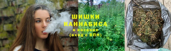 индика Елабуга