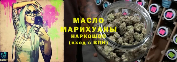 индика Елабуга
