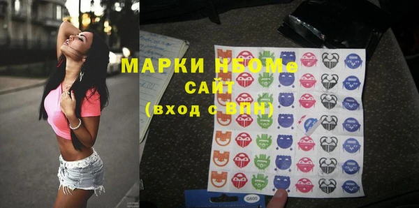 ECSTASY Пересвет