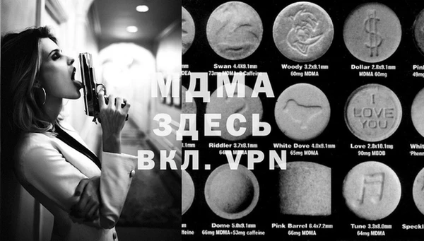 индика Елабуга