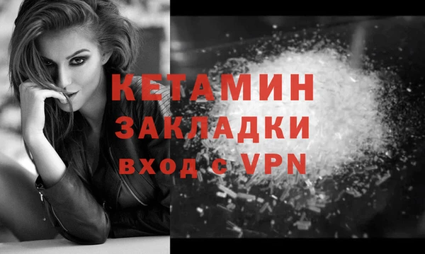 индика Елабуга