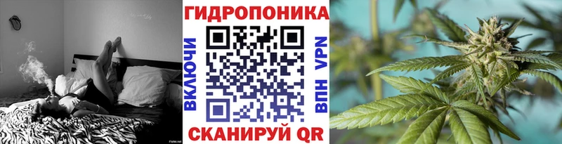 Конопля White Widow  Купить закладки  Ковылкино 